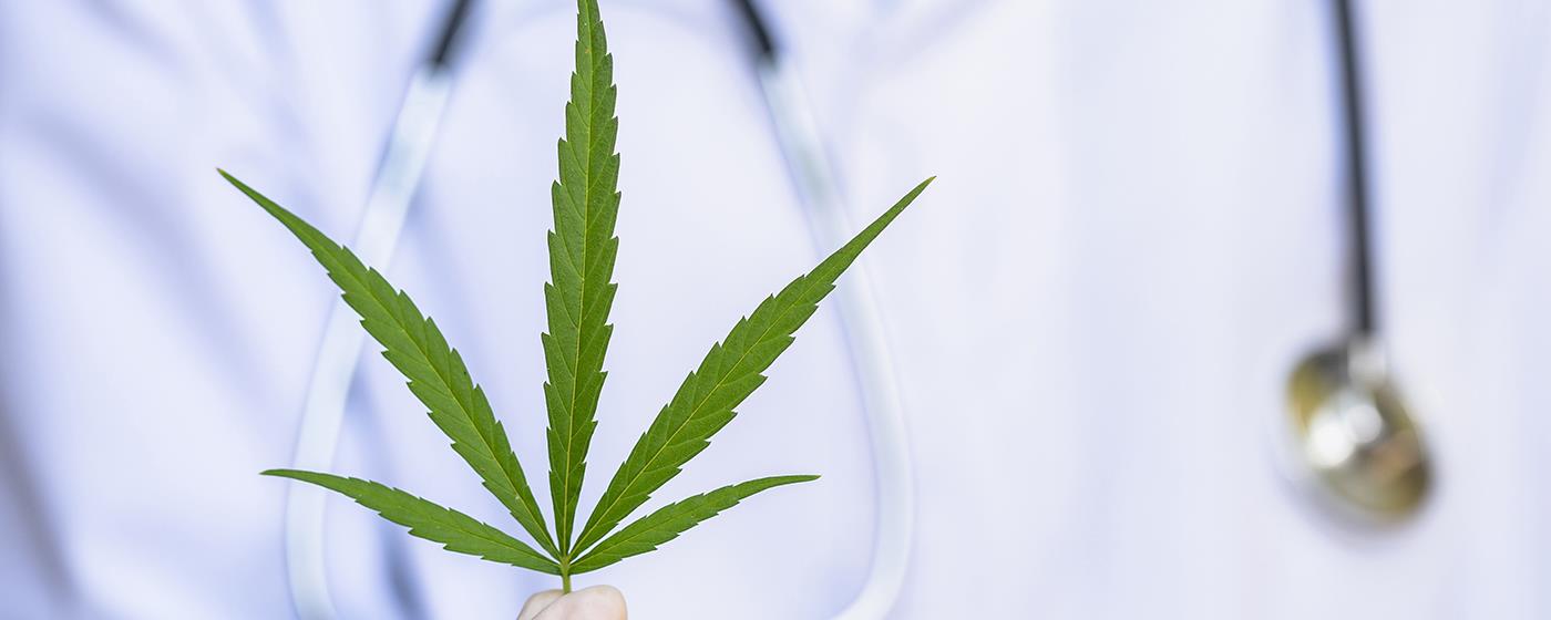 龙灯瑞迪制药